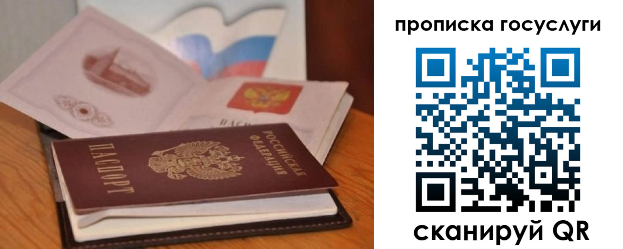 прописка в квартире в Камышлове